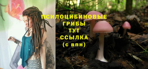 ПСИЛОЦИБИНОВЫЕ ГРИБЫ Майский
