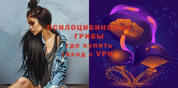 герыч Пересвет