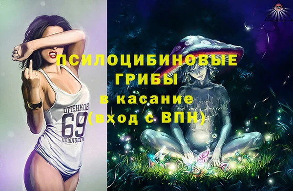 прущие грибы Сосновоборск
