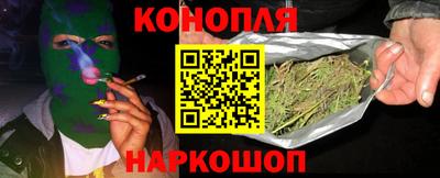 ешки Кингисепп