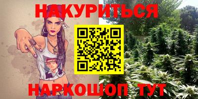 ешки Кингисепп