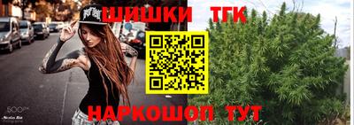 ешки Кингисепп