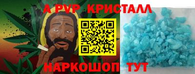 ешки Кингисепп