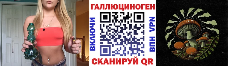 наркота  Старая Купавна  Псилоцибиновые грибы ЛСД 