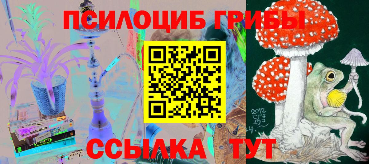 Псилоцибиновые грибы GOLDEN TEACHER  закладки  Старая Купавна  Псилоцибиновые грибы мицелий 