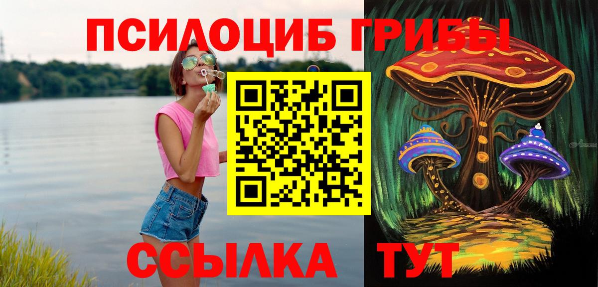 Галлюциногенные грибы Psilocybe  Псилоцибиновые грибы мицелий  Вход с VPN  Старая Купавна 