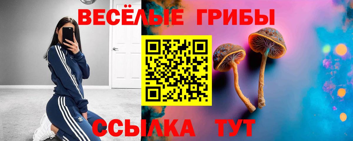 Псилоцибиновые грибы Magic Shrooms Старая Купавна
