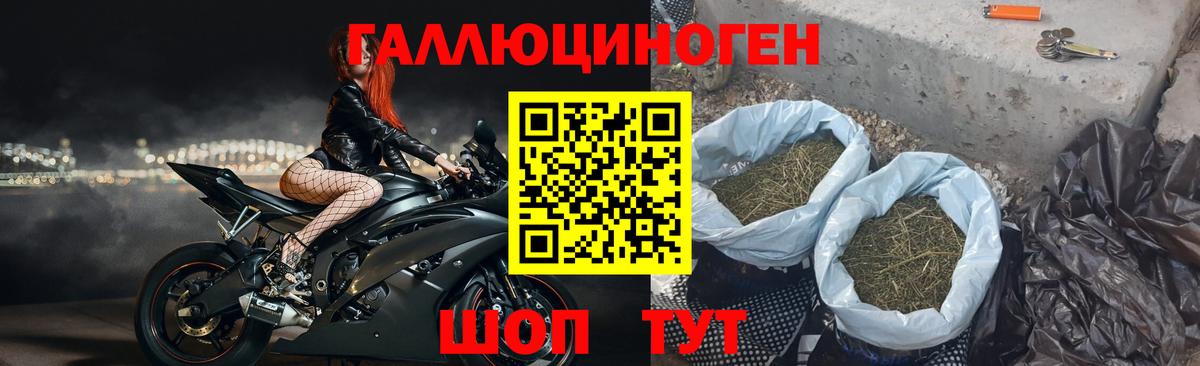 Галлюциногенные грибы мицелий Старая Купавна